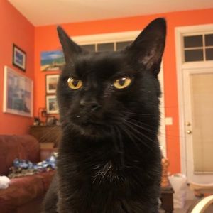 Meet your Posher, Melissa